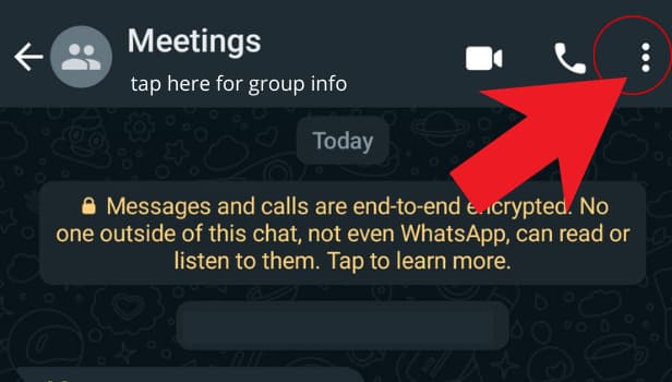 Image titled search messages in WhatsApp group Step 3